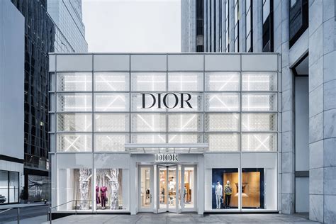 Dior store online